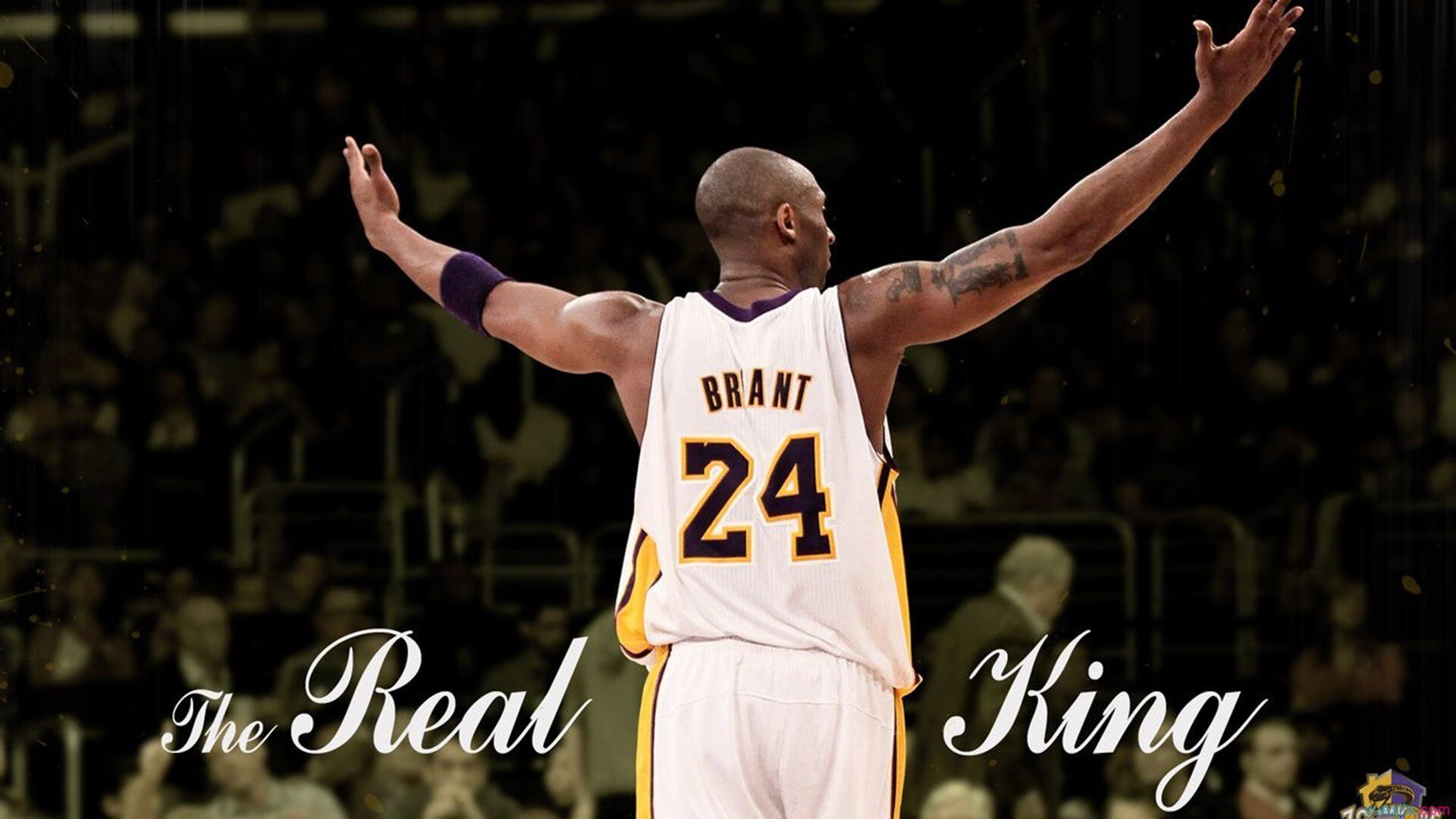 范奥特尔戴克动作流畅完成度高,范戴克吧